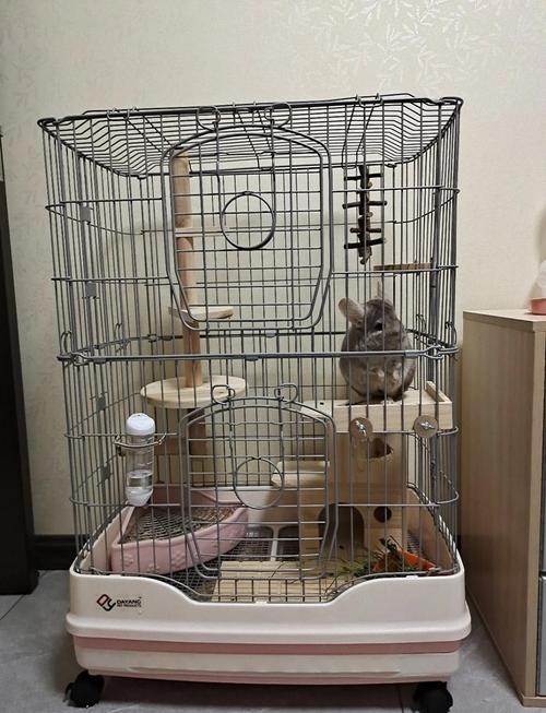 龍貓混養需要準備哪些設施？