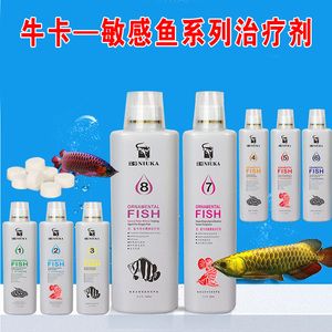 龍魚蒙眼要不要開燈：治療龍魚蒙眼期間是否應該開燈取決于龍魚的狀態和治療階段