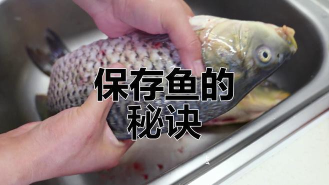 喂龍魚的小魚要怎么處理才能保存