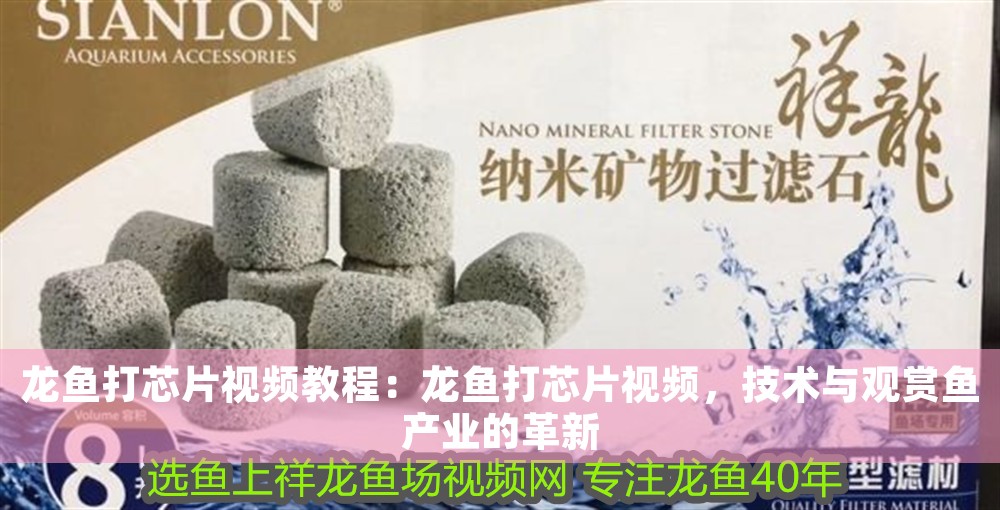 龍魚打芯片視頻教程：龍魚打芯片視頻，技術與觀賞魚產業的革新