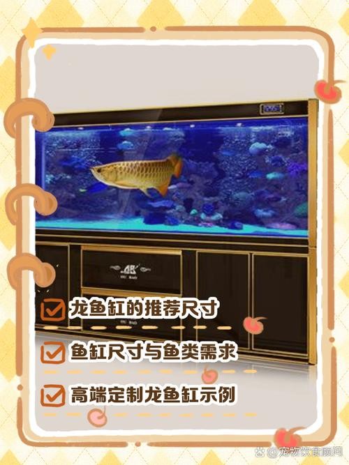 銀龍魚要多大的魚缸養