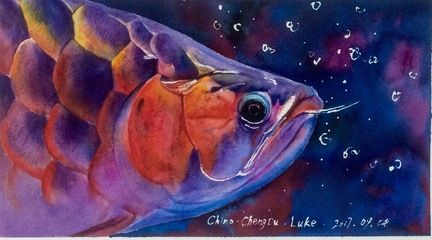 水彩龍魚藝術作品：水彩龍魚是一種美麗的藝術創作