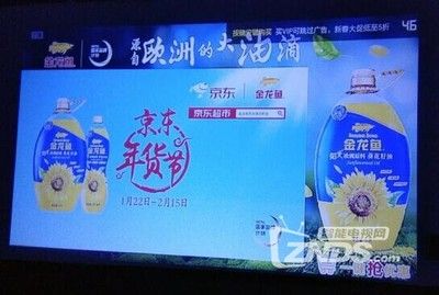 金龍魚長期不開燈會怎么樣？（金龍魚光照不足的補(bǔ)救措施）