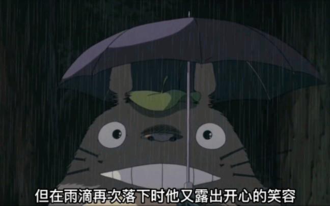 有哪些寵物貓適合與龍貓一起養？