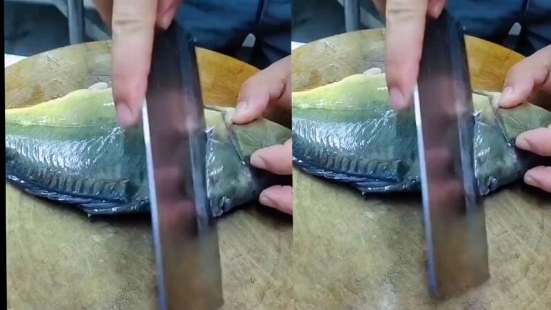 金龍魚(yú)的做法大全