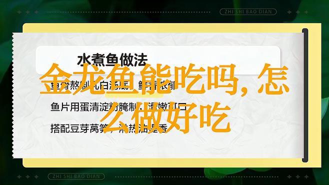 金龍魚(yú)的做法大全