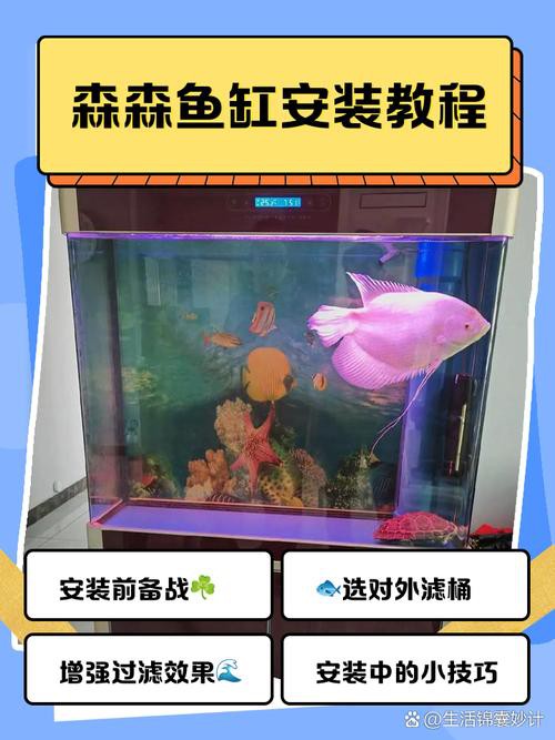 西龍魚缸安裝圖
