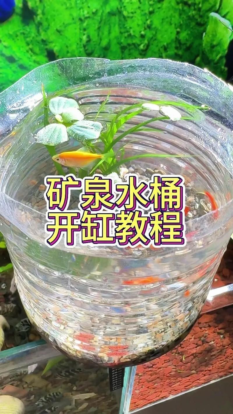 西龍魚缸安裝圖