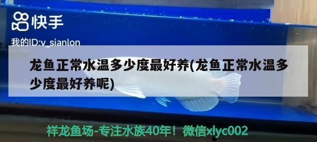 龍魚正常水溫多少度最好養活：龍魚水溫調控技巧，龍魚冬季保溫措施