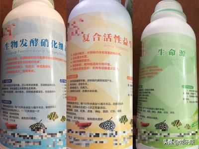 龍魚換水需要放些什么藥：如何自制龍魚藥浴溶液,龍魚換水后多久見效