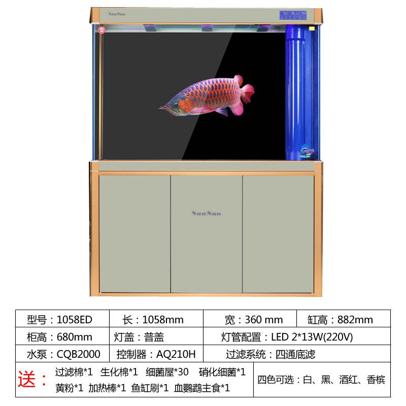 龍魚換水需要放些什么藥：如何自制龍魚藥浴溶液,龍魚換水后多久見效
