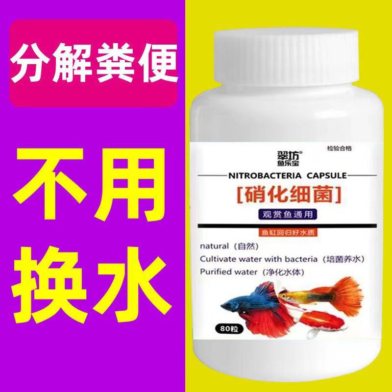 龍魚換水需要放些什么藥：如何自制龍魚藥浴溶液,龍魚換水后多久見效