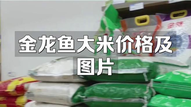 金龍魚楚尊軟香米5千克價格