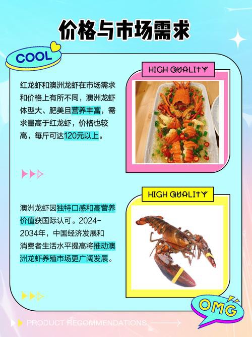 紅龍蝦的市場價格如何