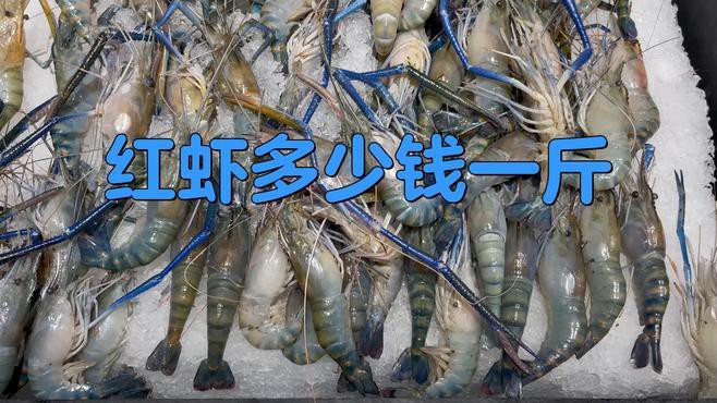 紅龍蝦的市場價格如何