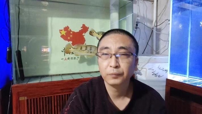 銀版魚活餌投喂時間表：銀版魚活餌投喂時間表包括一天三次投喂