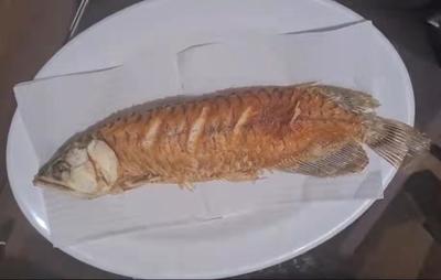 紅龍魚年齡發(fā)色過程圖解視頻大全圖片（紅龍魚年齡發(fā)色過程圖解視頻大全圖片欣賞）