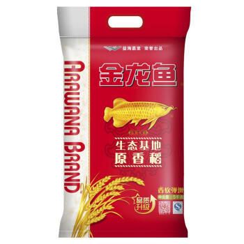 金龍魚批發基地：關于金龍魚批發基地的相關信息