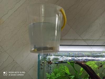 水族箱光照強(qiáng)度標(biāo)準(zhǔn)值：關(guān)于水族箱光照強(qiáng)度的一些標(biāo)準(zhǔn)和建議