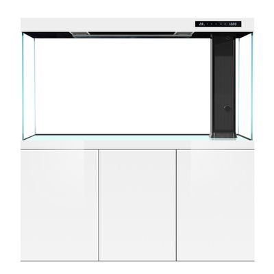 龍魚缸需要什么設(shè)備：如何正確安裝龍魚缸加熱棒