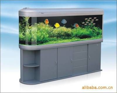 龍魚缸需要什么設(shè)備：如何正確安裝龍魚缸加熱棒