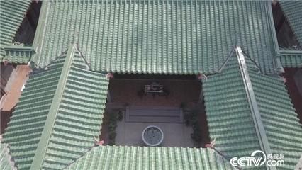 剛買來的龍魚一直沉在下面游動是為什么（龍魚為什么總是沉到水底游動）