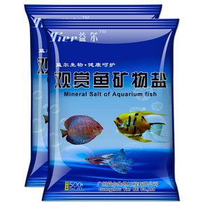 龍魚怕鹽嗎：如何正確給龍魚換水