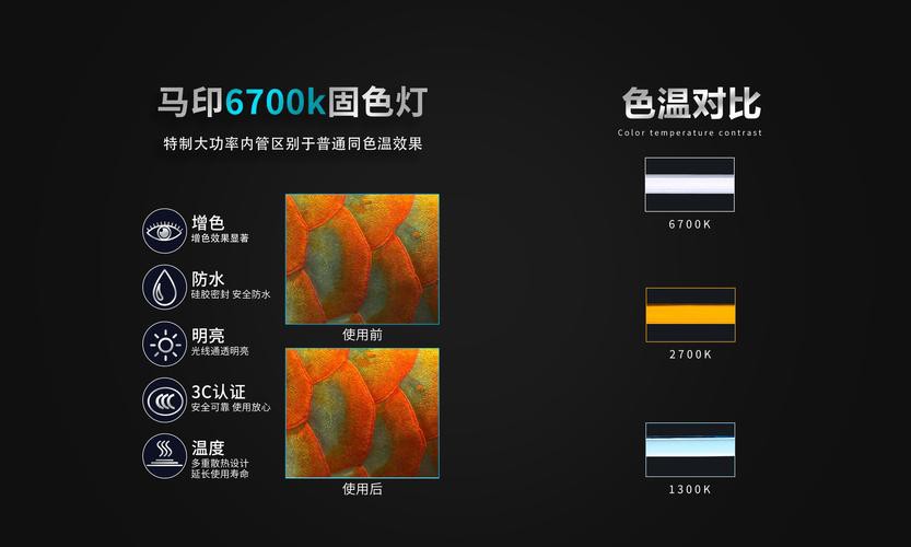 如何選擇適合龍魚的6700K燈？