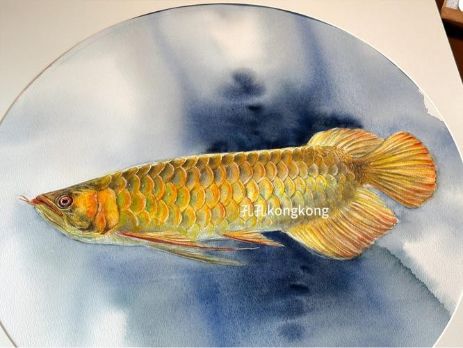 水彩金龍魚