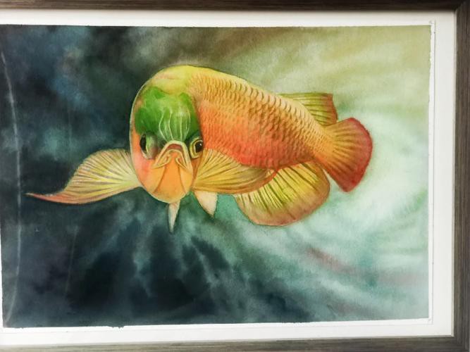 水彩金龍魚