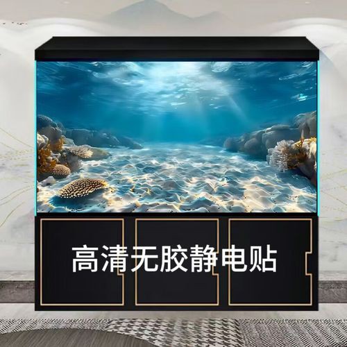 哪里可以找到更多高清龍魚缸壁紙？
