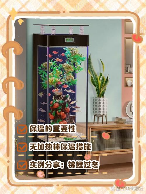 如何降低魚缸的耗電量
