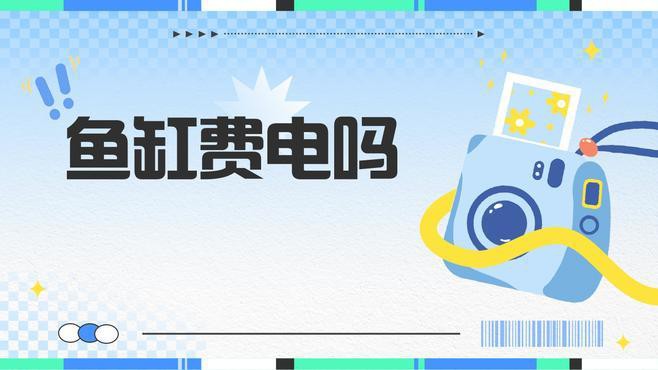 如何降低魚缸的耗電量