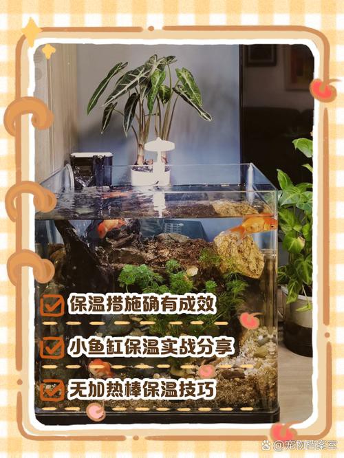 如何降低魚缸的耗電量