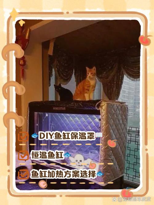 如何降低魚缸的耗電量