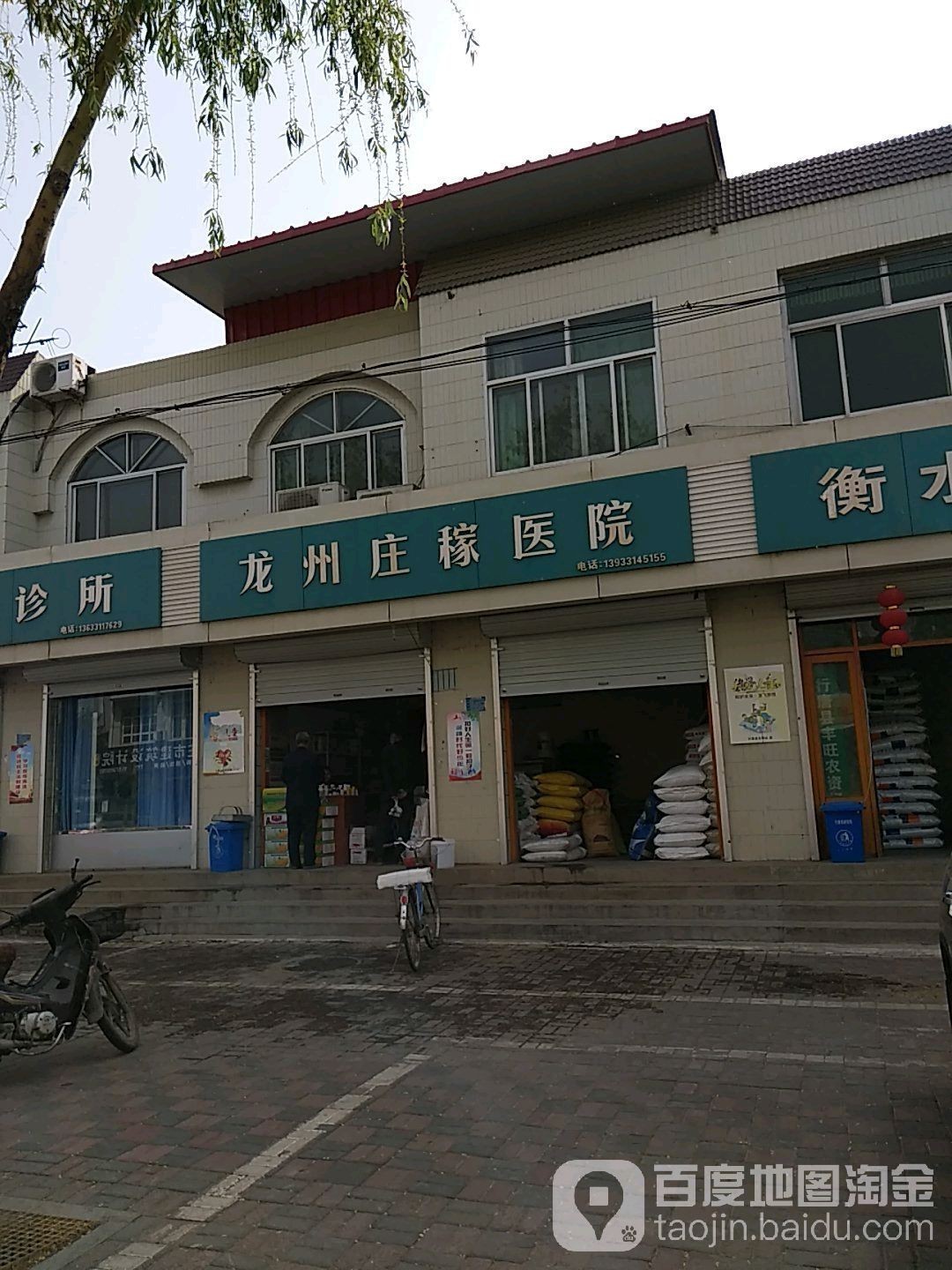 石家莊龍魚手術醫院電話是多少