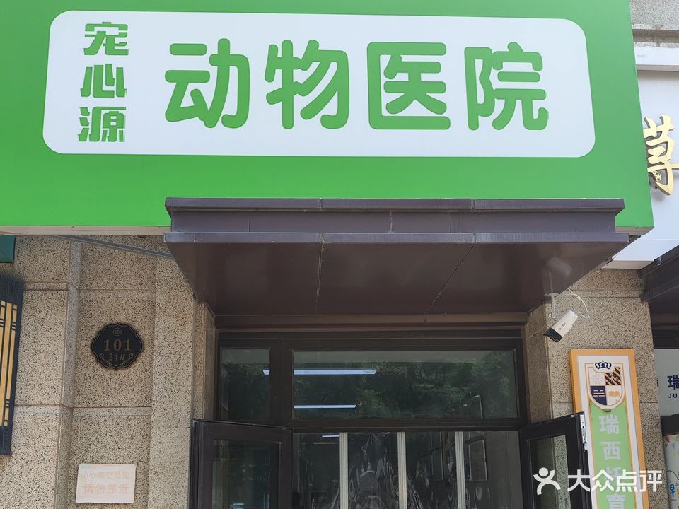 石家莊龍魚手術醫院電話是多少