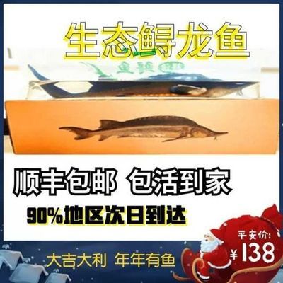 尋龍魚多少錢一斤：尋龍魚市場價(jià)格波動
