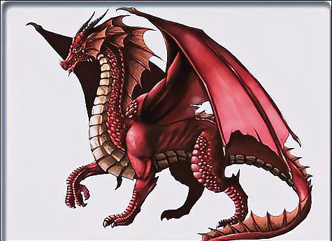 紅龍與金龍在西方文化中有何不同？