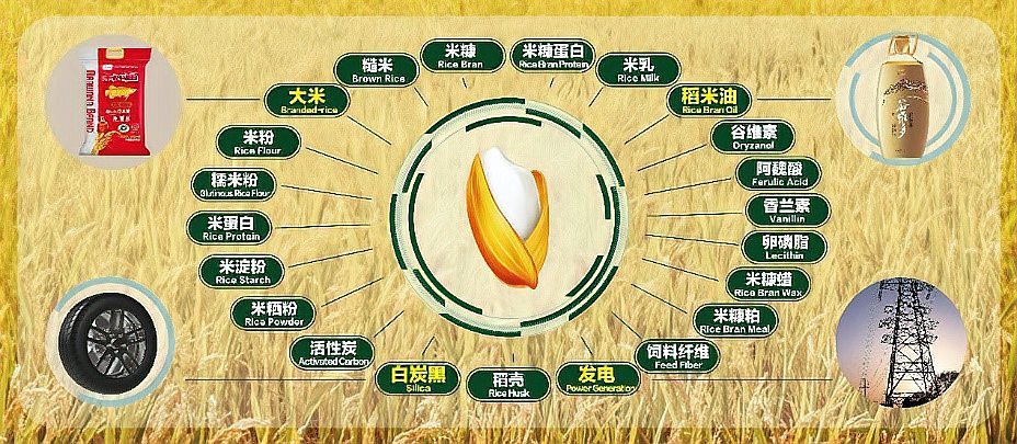 金龍魚(yú)回收有哪些環(huán)保措施