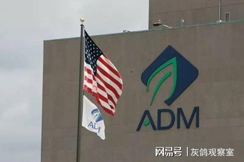 紅龍魚飼養方法大全圖解說明（紅龍魚飼養方法大全圖解說明書）