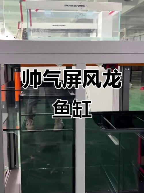 博世龍魚缸價格表圖片