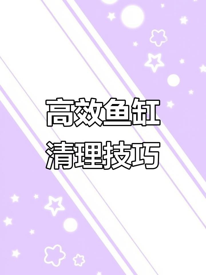 金龍魚缸清潔有哪些步驟？