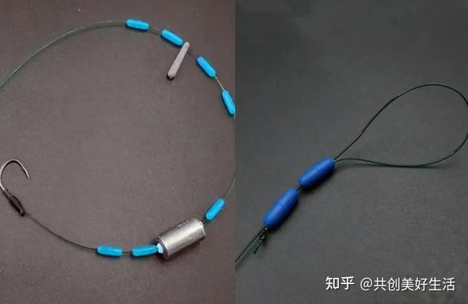 粗線會咬龍魚鰭嗎