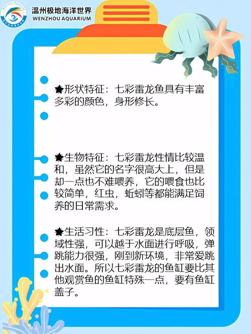 七彩龍魚圖片