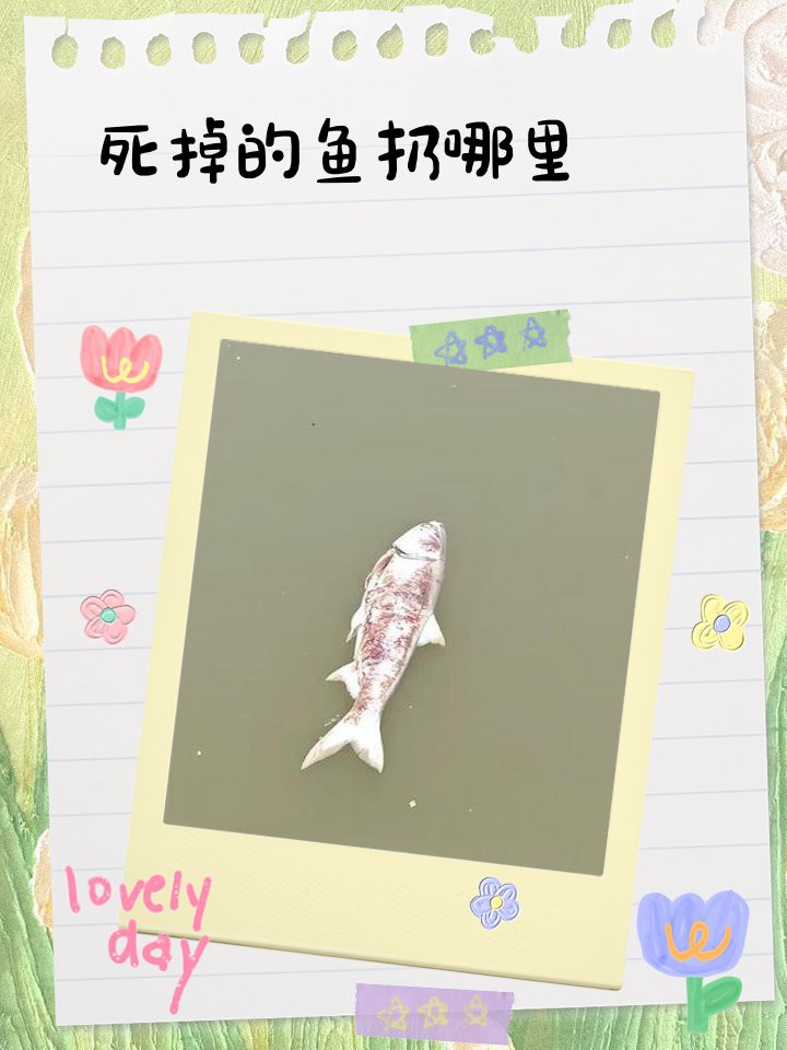 龍魚死亡后如何處理？