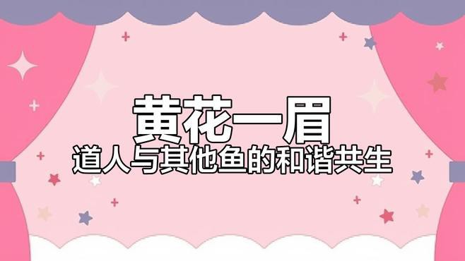 斑馬魚和龍魚能混養(yǎng)嗎圖片大全 斑馬魚和龍魚能混養(yǎng)嗎圖片大全 龍魚百科 第29張