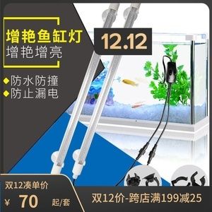 龍魚用幾根燈管合適：養(yǎng)龍魚用幾根燈管合適