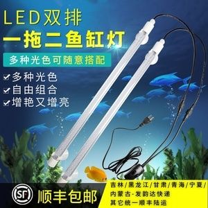 龍魚用幾根燈管合適：養(yǎng)龍魚用幾根燈管合適