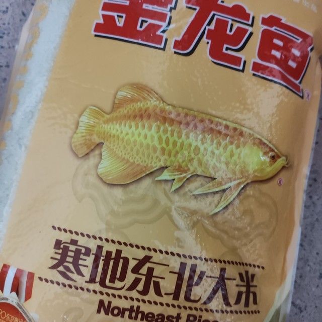 東北小金龍魚是什么魚種的（關于東北小金龍魚的一些問題）